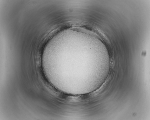 X0000093610170200711121221