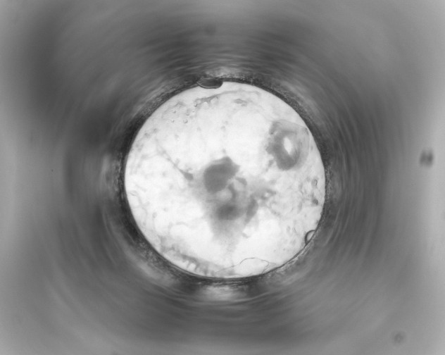 X0000093610171200711121221