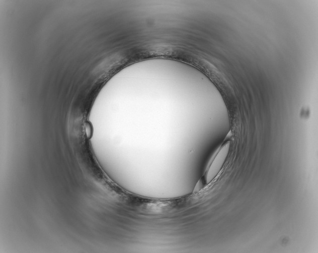 X0000093610172200711121221