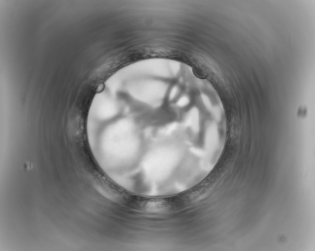 X0000093610173200711121221