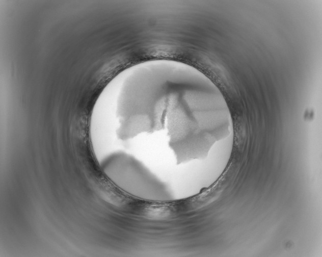 X0000093610175200711121221