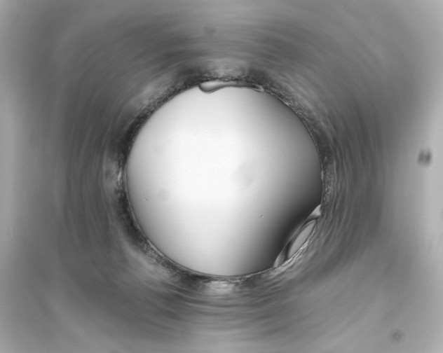 X0000093610176200711121221