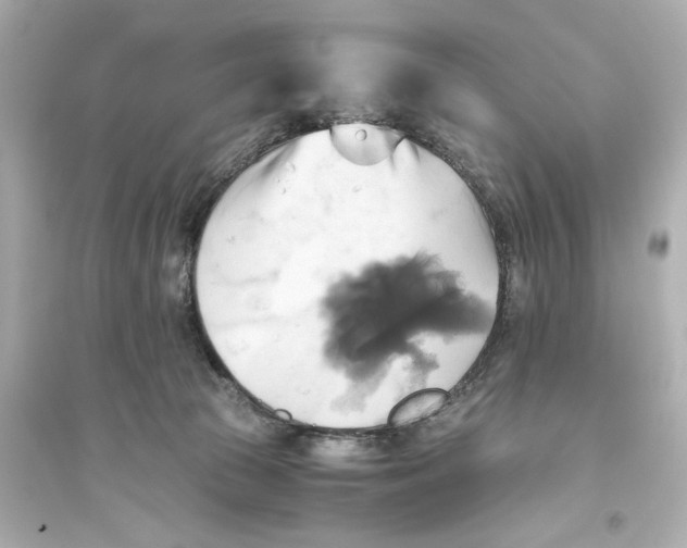 X0000093610177200711121221