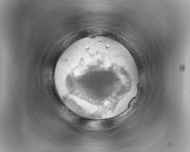 X0000093610178200711121221