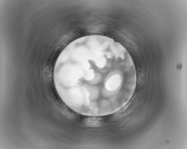 X0000093610179200711121221