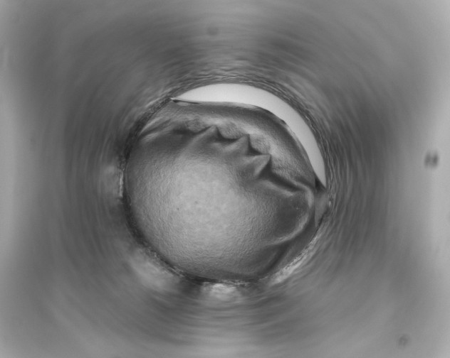 X0000093610180200711121221