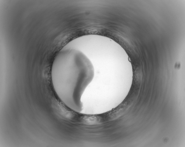 X0000093610181200711121221
