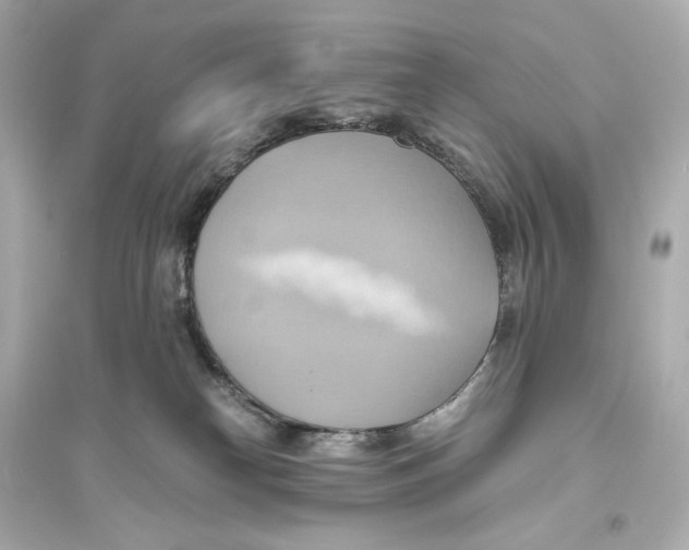X0000093610182200711121221