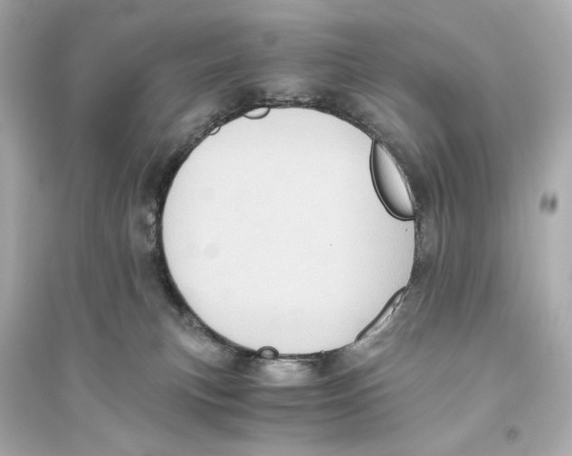 X0000093610183200711121221