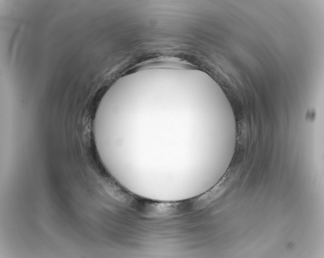 X0000093610184200711121221