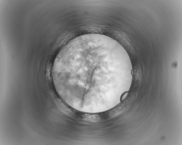 X0000093610185200711121221