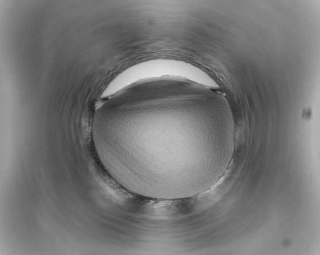 X0000093610186200711121221