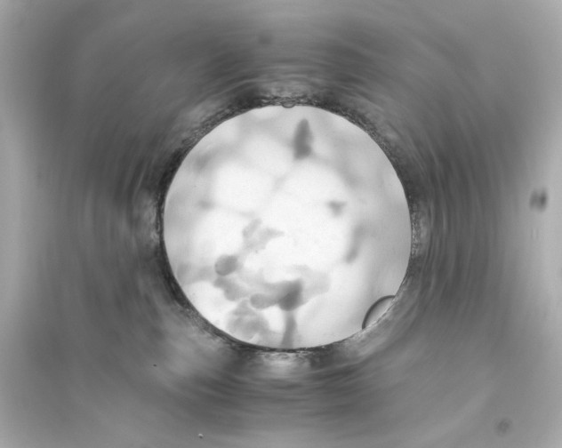 X0000093610187200711121221