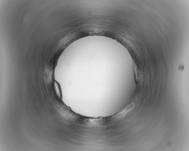 X0000093610188200711121221