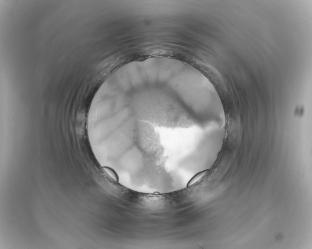 X0000093610189200711121221