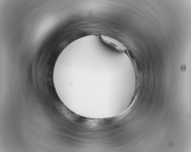 X0000093610190200711121221