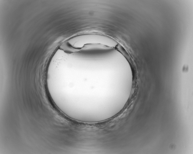 X0000093610193200711121220