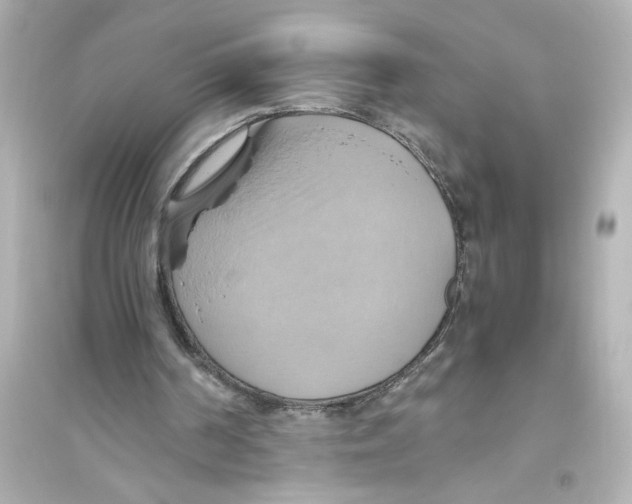 X0000093610194200711121220