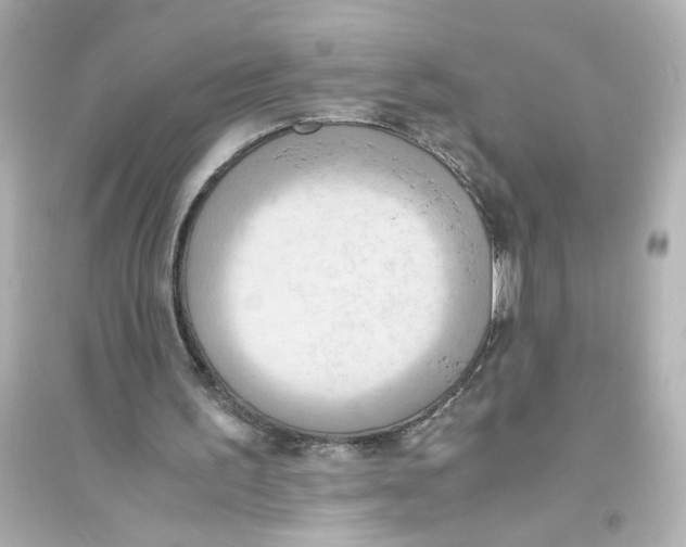 X0000093610195200711121220