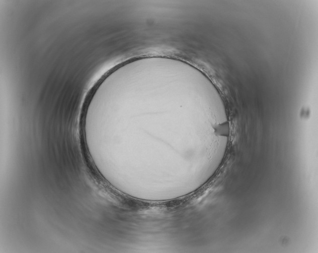 X0000093610196200711121220