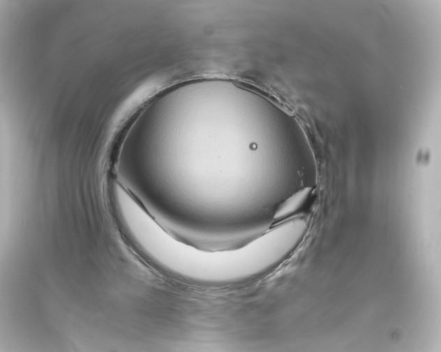X0000093610197200711121220