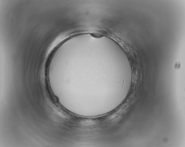 X0000093610198200711121220