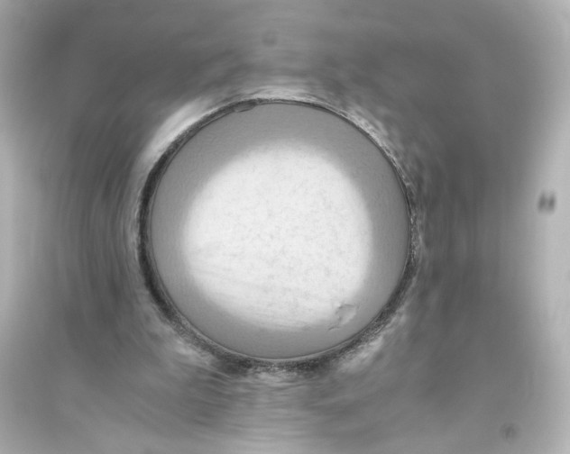X0000093610199200711121220