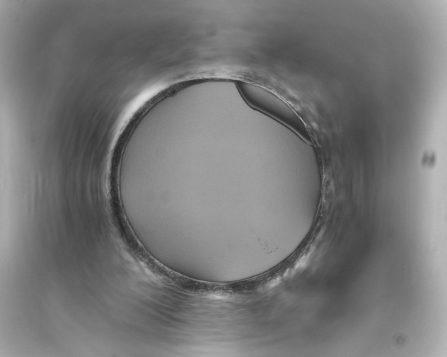 X0000093610200200711121220