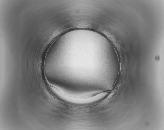 X0000093610201200711121220