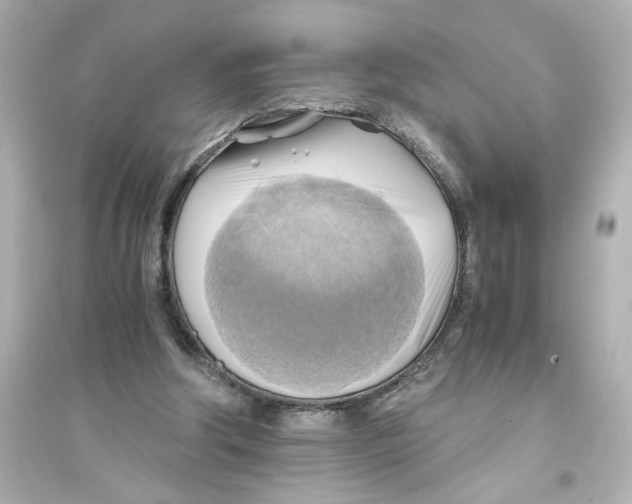 X0000093610202200711121220