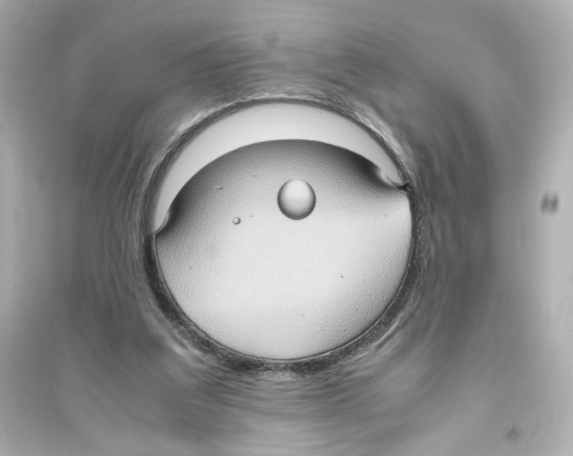 X0000093610203200711121220