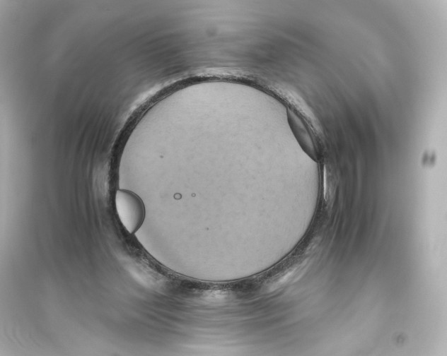 X0000093610204200711121220