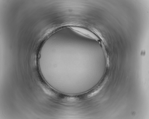 X0000093610205200711121220