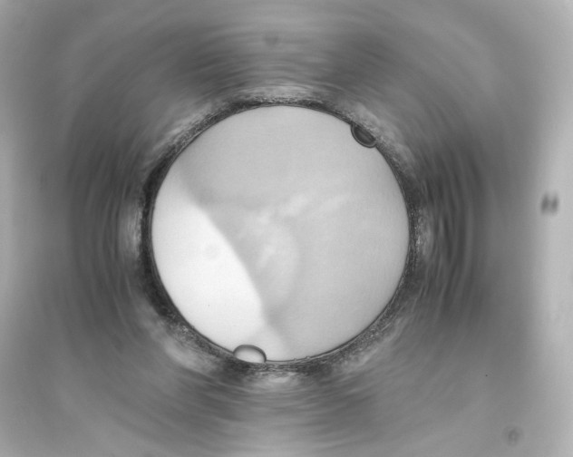 X0000093610206200711121220