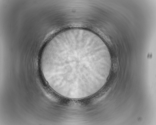 X0000093610207200711121220