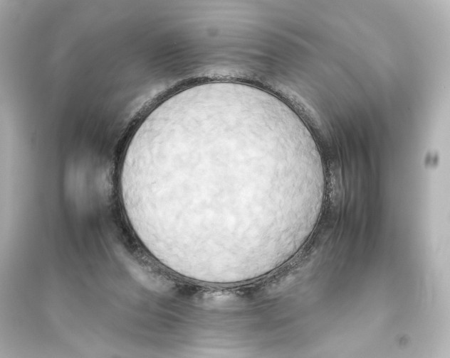 X0000093610208200711121220