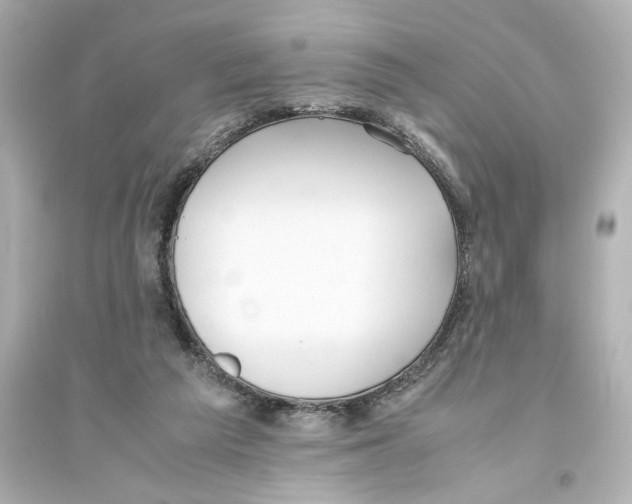 X0000093610209200711121220