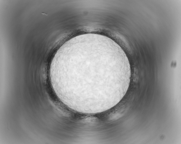 X0000093610210200711121220