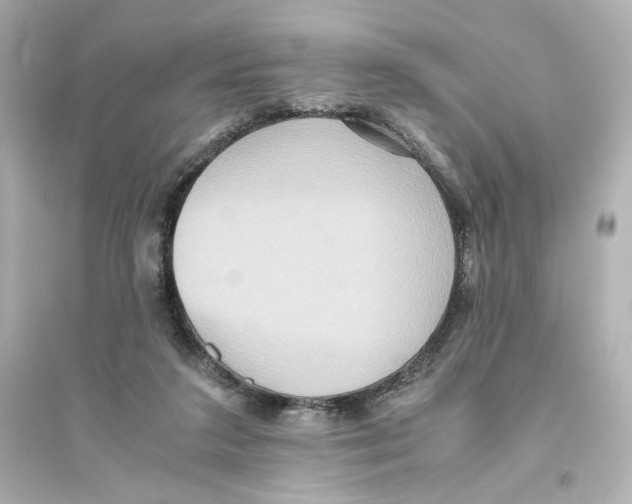 X0000093610211200711121220