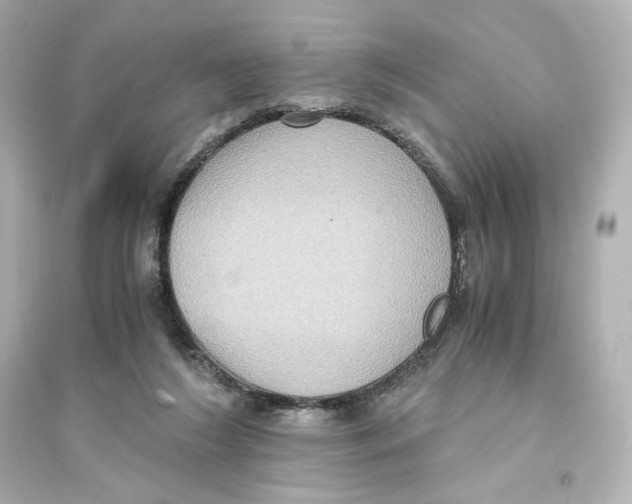 X0000093610212200711121220