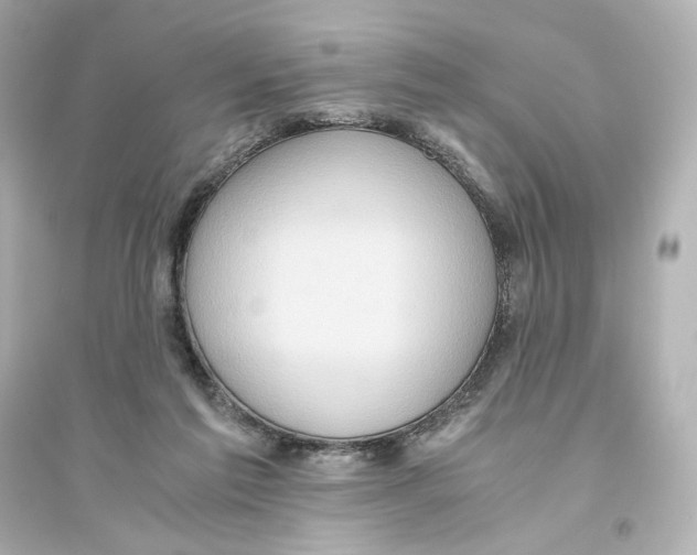 X0000093610213200711121220