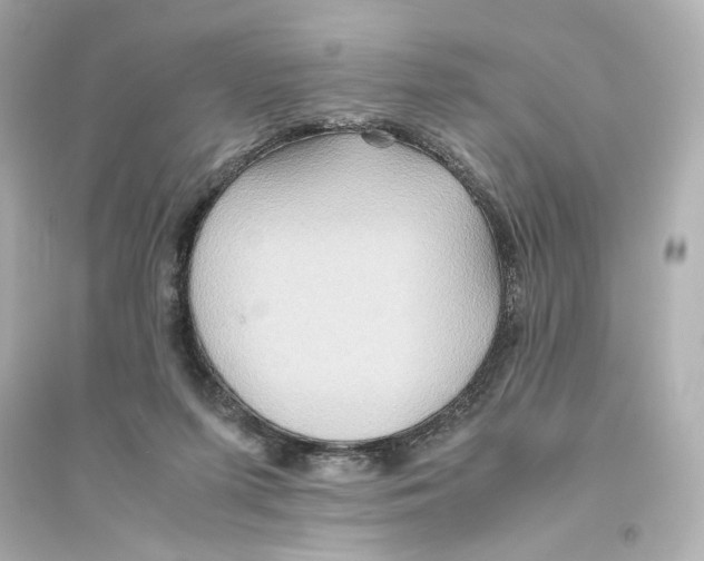 X0000093610215200711121220