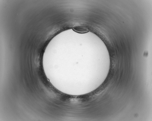 X0000093610216200711121220