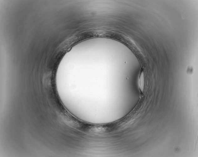 X0000093610217200711121220