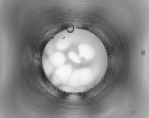 X0000093610218200711121220