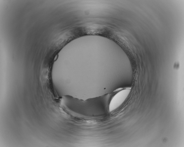 X0000093610219200711121220