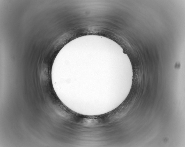 X0000093610220200711121220