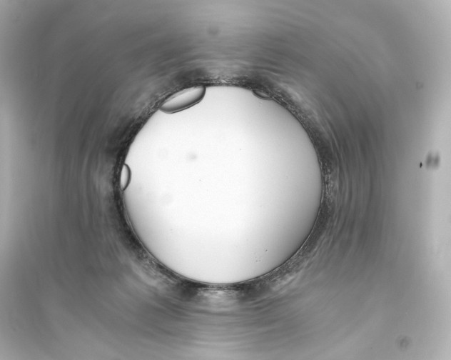 X0000093610221200711121220