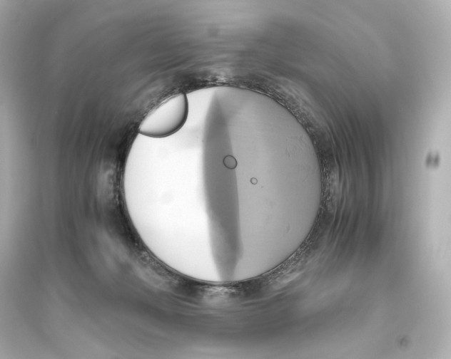 X0000093610222200711121220