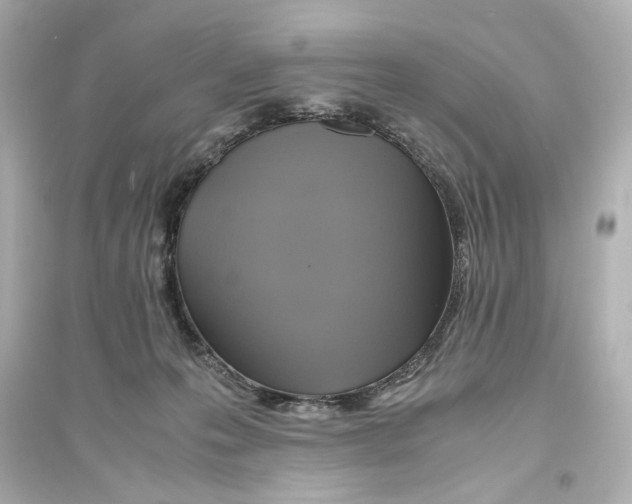 X0000093610223200711121220